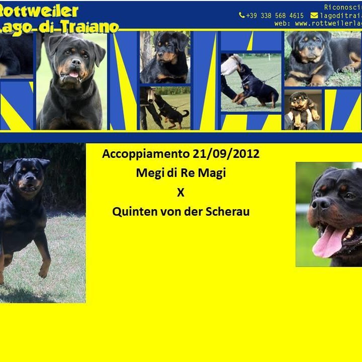 Megi dei Re Magi X Quinten von der Scherau