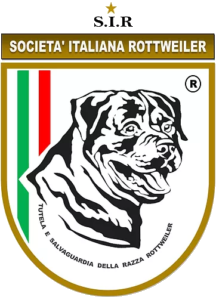 rottweilerclubitalia
